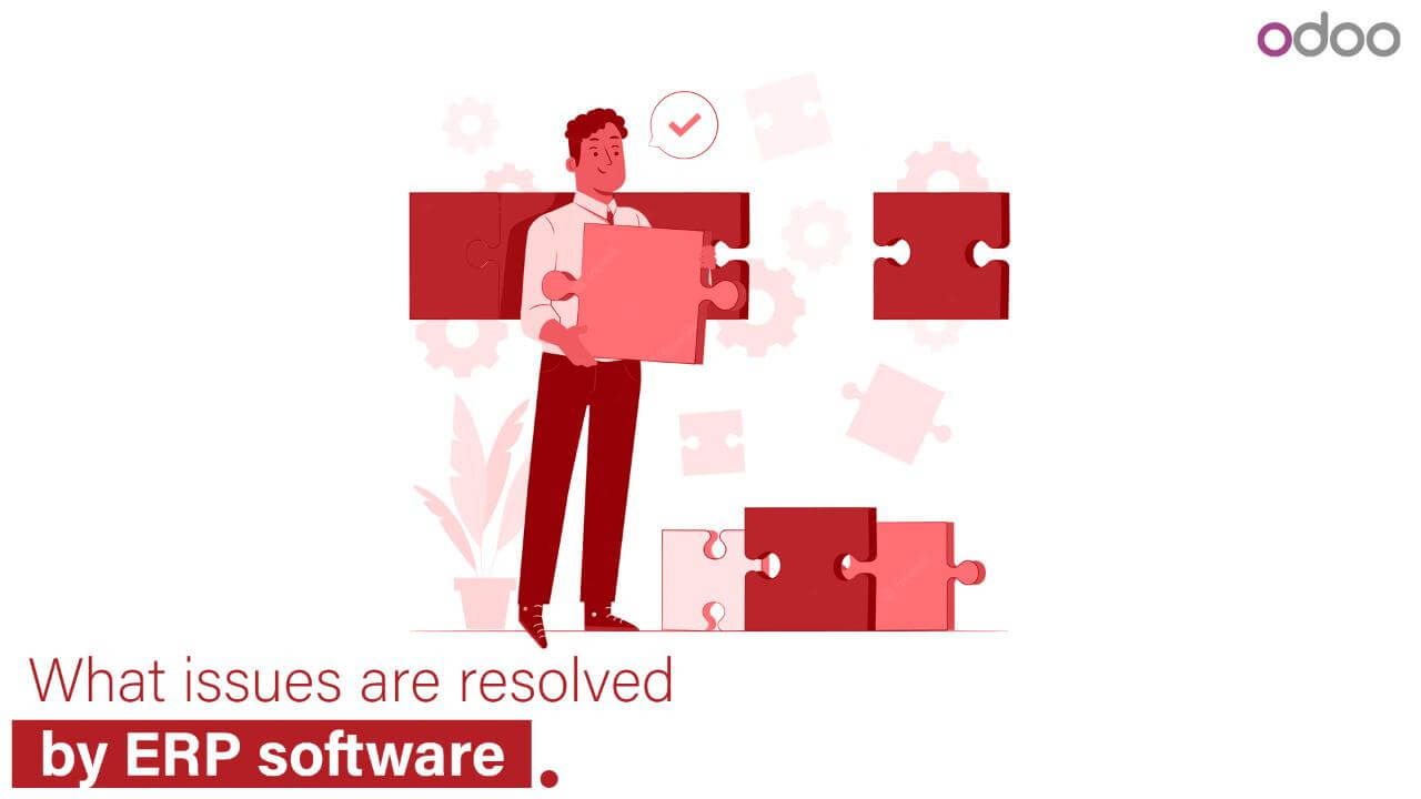 What issues are resolved by ERP software? 